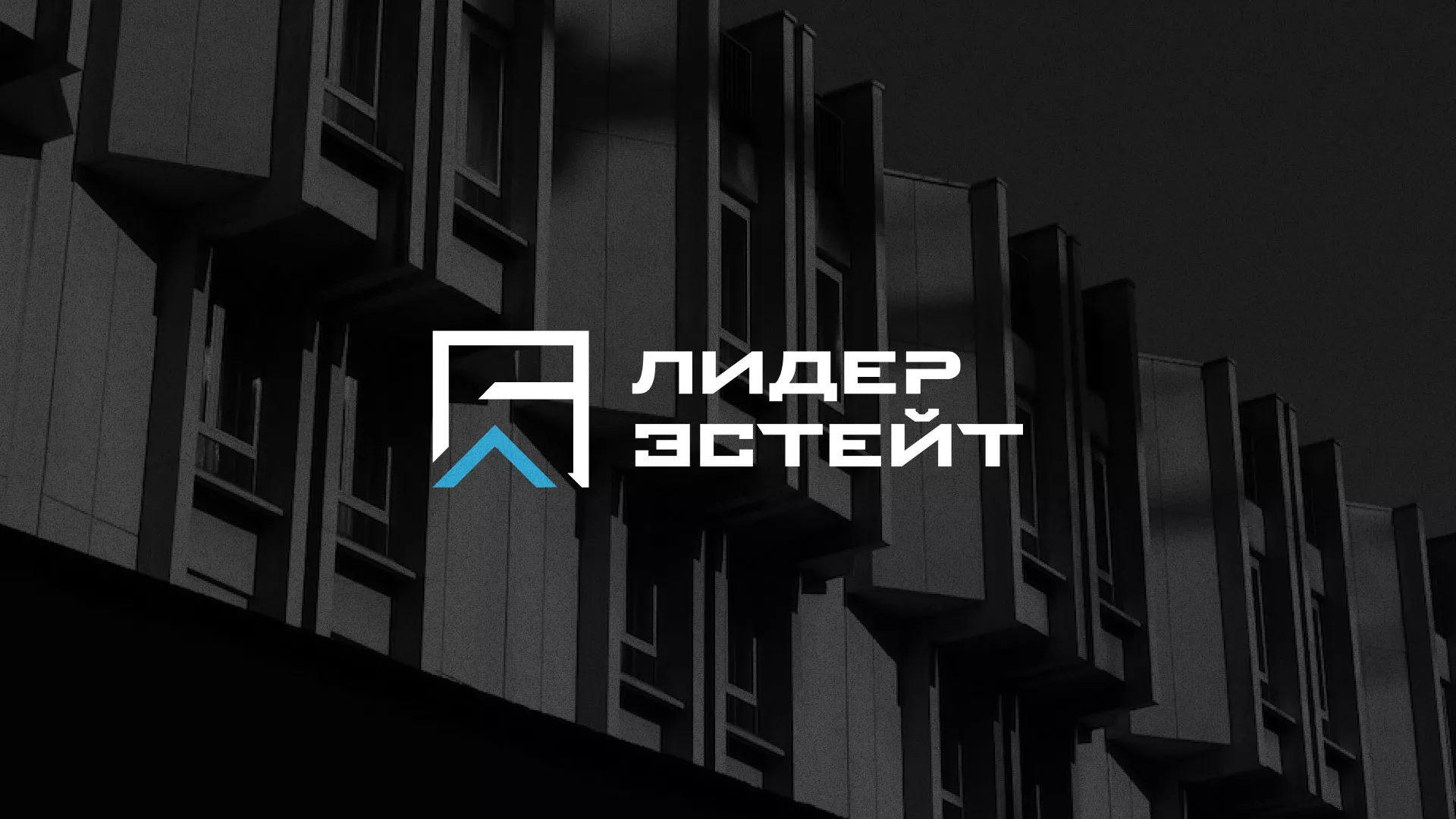 Разработка логотипа агентства недвижимости «Лидер Эстейт» в Нестерове